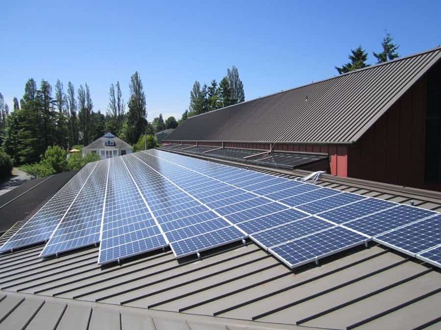 IBC vs. PERC: What's the Best Type of Solar Panel