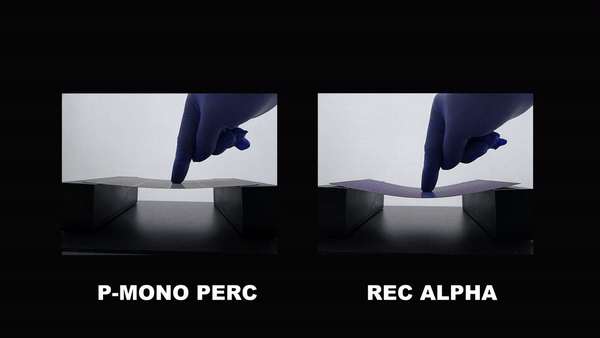 P-Mono Perc Vs. REC Alpha panels