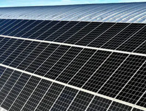 Leading Solar Technology for Maximum Efficiency