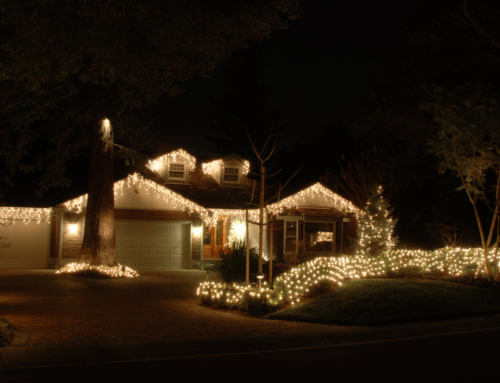 Brighten Your Holidays with Solar Lights